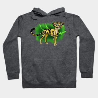 Lion Cartoon Guard Fuli Hoodie